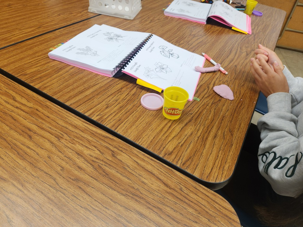 Mrs. Flegler's Floral Design class is kicking off the year by learning plant identification, a skill they will practice all year long. Students are using ID features to create plants they learned about with play dough.