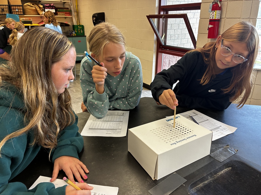 Mr. Walsh's 6th-grade science classes modeled remote sensing for resources last week, then used what they learned to extract copper from malachite ore this week.