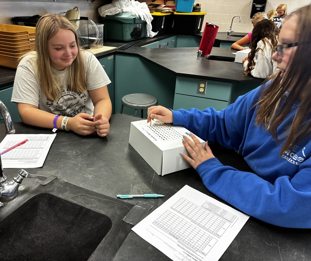 Mr. Walsh's 6th-grade science classes modeled remote sensing for resources last week, then used what they learned to extract copper from malachite ore this week.