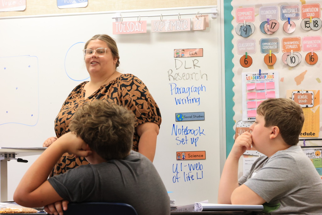 Mrs. Chestnut taught her 5th graders about paragraph structure in a unique way, using the "Yummy" method. 