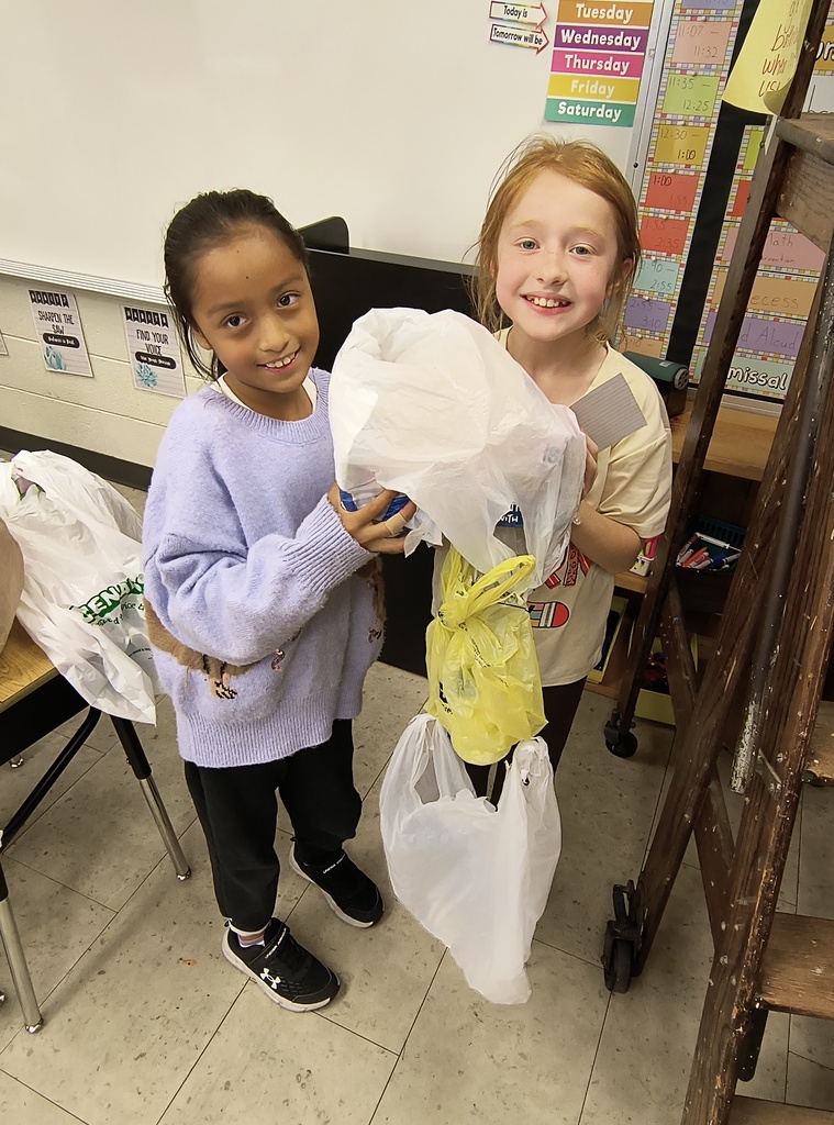 Mrs. Simnitt's class put gravity to the test this week by participating in an egg drop challenge. They used common items to create a shield for an egg and dropped it from a high distance.