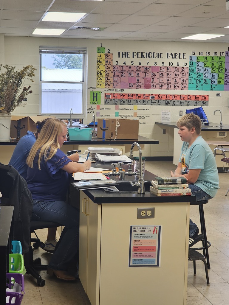 Mrs. Bybee's Career Planning students have been researching different career paths and writing applications. Today, they participated in mock interviews.