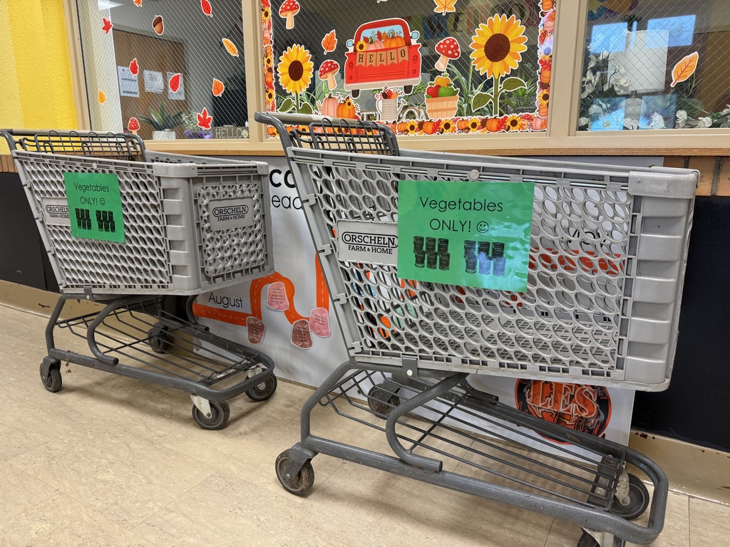 Mrs. Shannon's class helps stock grocery carts for the "V is for Vegetables" food drive. All items will go to the Lighthouse.