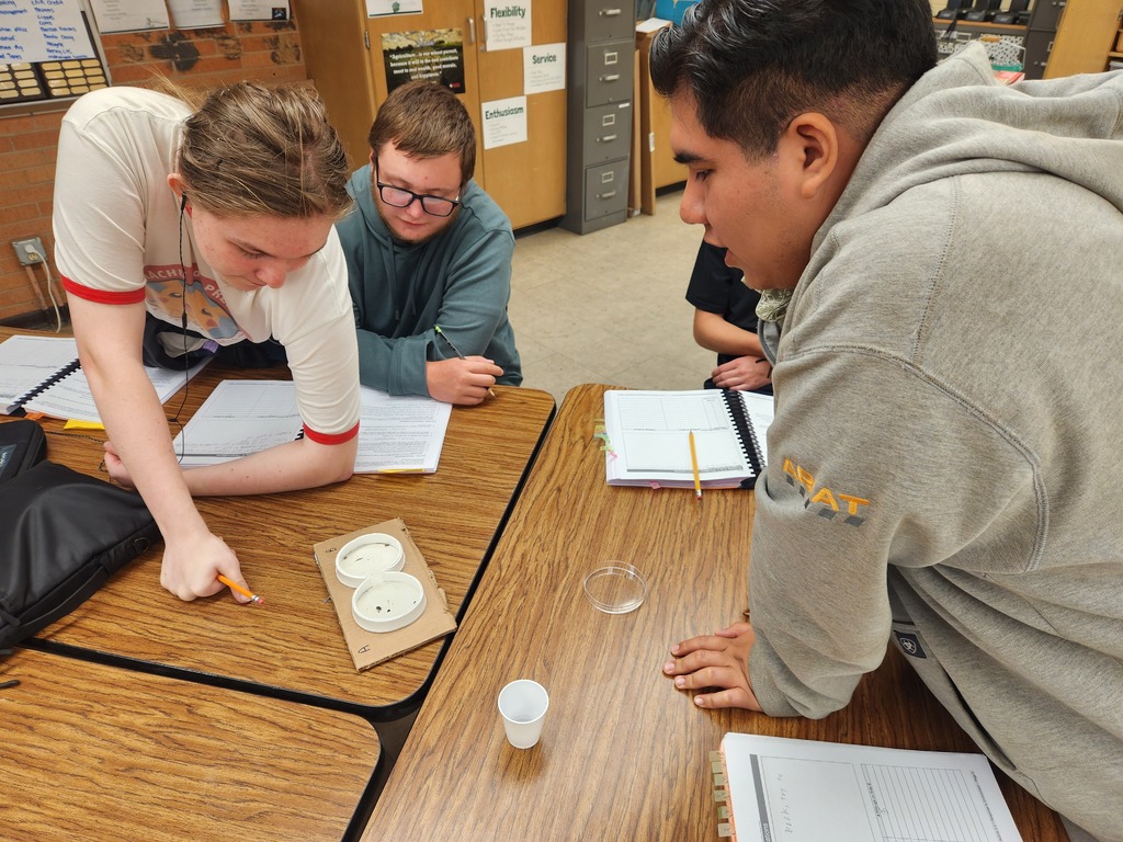 Mrs. Flegler's Animal Science class conducted a lab this week to study how a stimulus impacts animal behavior. Students observed pillbugs in a neutral setting to determine their natural behaviors. Then the lab groups were able to select a stimulus (dried pine needles or fresh green grass) to the behavior observation tray to see if the pillbugs would have a taxis reaction to it.