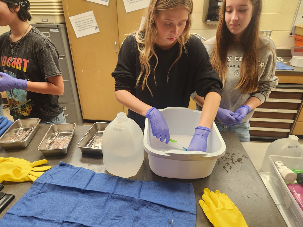 Mrs. Flegler's Animal Care students cleaned surgical tools that were simulated to have contaminants and dried blood. Taking it a step further, they prepared and wrapped surgical packs according to a provided surgical pack recipe.