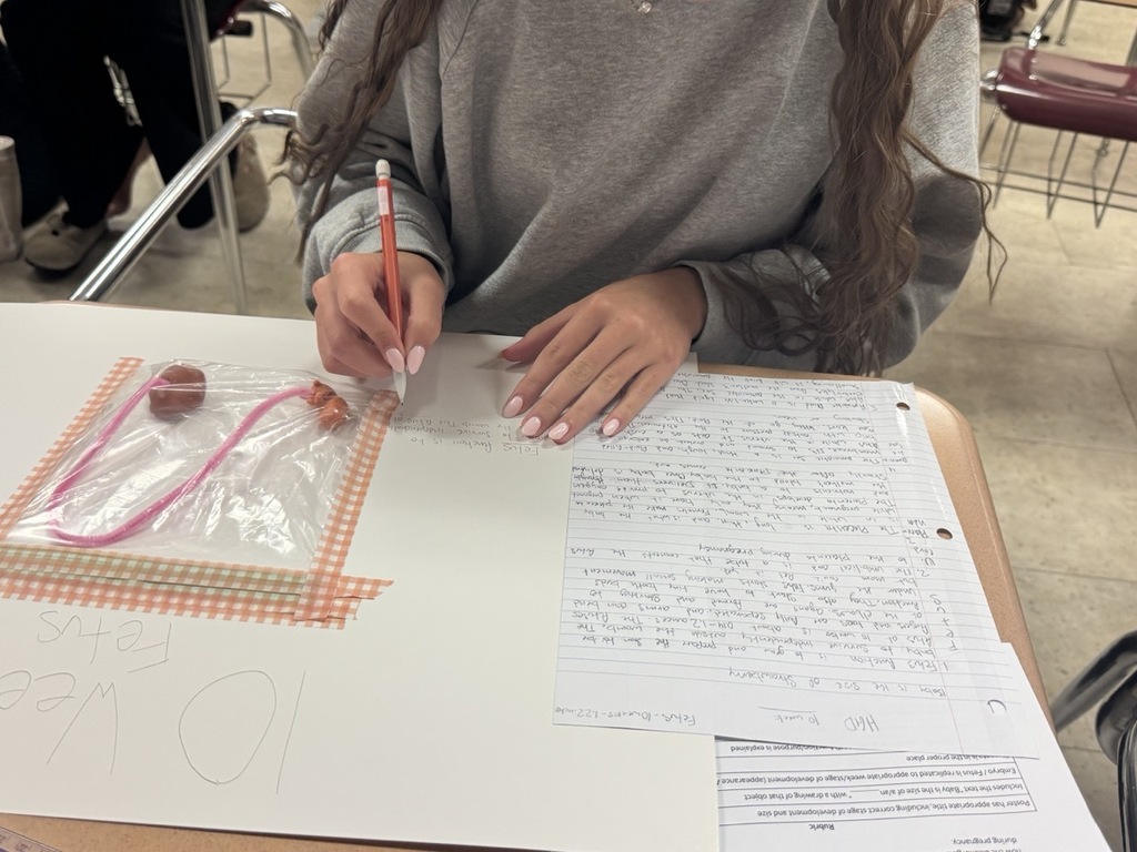 Students in Mrs. Craig’s Human Growth & Development class created their own fetus models using clay, a pipe cleaner, and a Ziploc bag, carefully considering the size, appearance, and developmental stage of a real fetus.