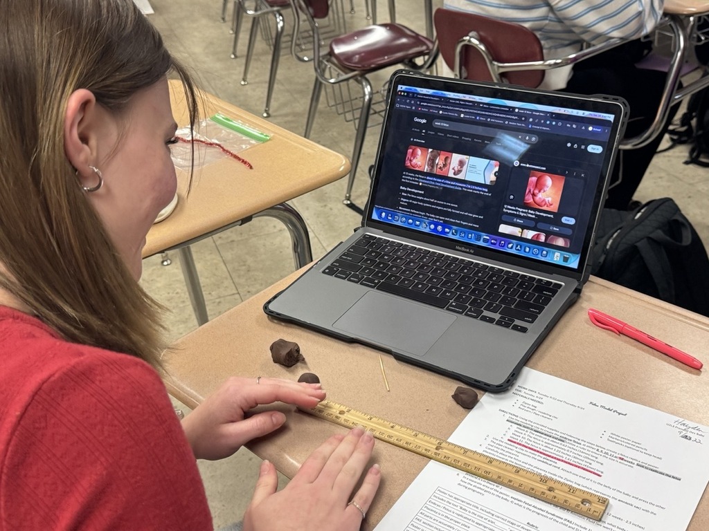 Students in Mrs. Craig’s Human Growth & Development class created their own fetus models using clay, a pipe cleaner, and a Ziploc bag, carefully considering the size, appearance, and developmental stage of a real fetus.