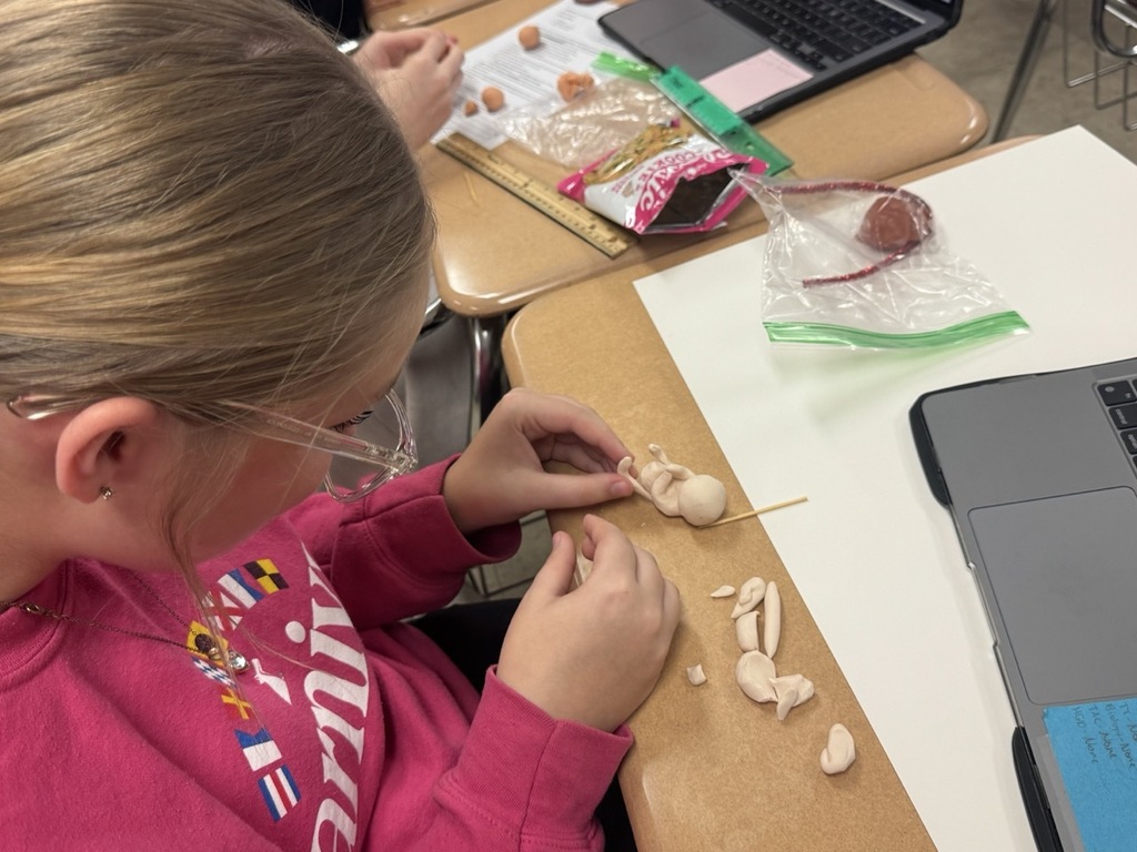 Students in Mrs. Craig’s Human Growth & Development class created their own fetus models using clay, a pipe cleaner, and a Ziploc bag, carefully considering the size, appearance, and developmental stage of a real fetus.