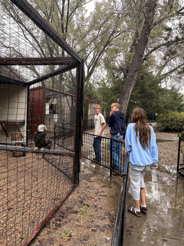 Wakefield students spent the day identifying different species found around Kansas, performing skits they wrote, and going on a scavenger hunt the annual Eco-Meet last week.