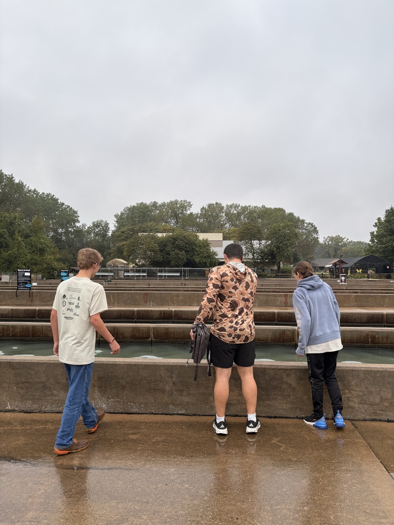 Wakefield students spent the day identifying different species found around Kansas, performing skits they wrote, and going on a scavenger hunt the annual Eco-Meet last week.