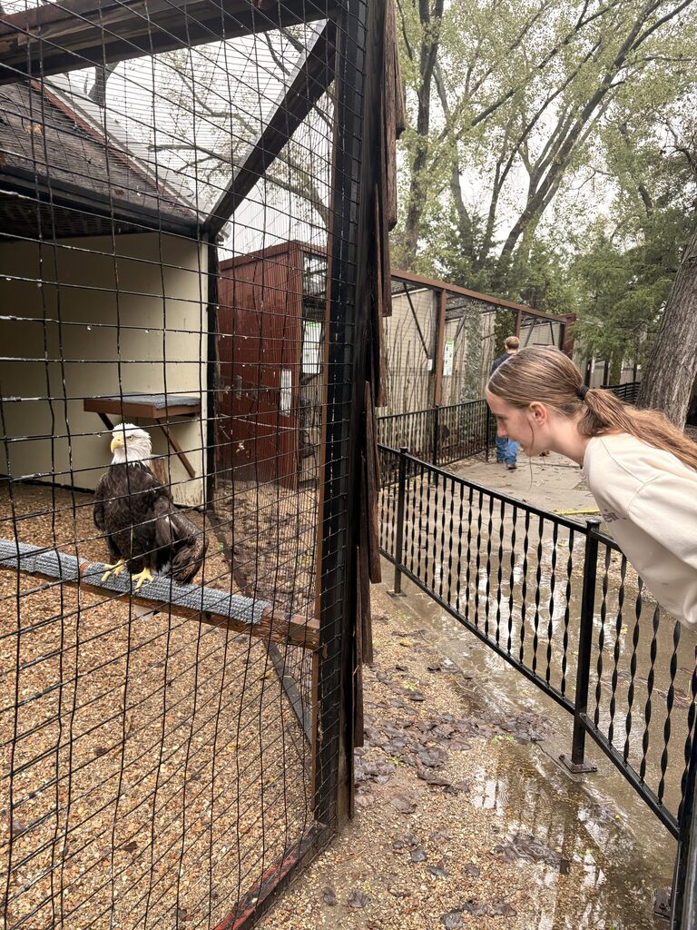 Wakefield students spent the day identifying different species found around Kansas, performing skits they wrote, and going on a scavenger hunt the annual Eco-Meet last week.