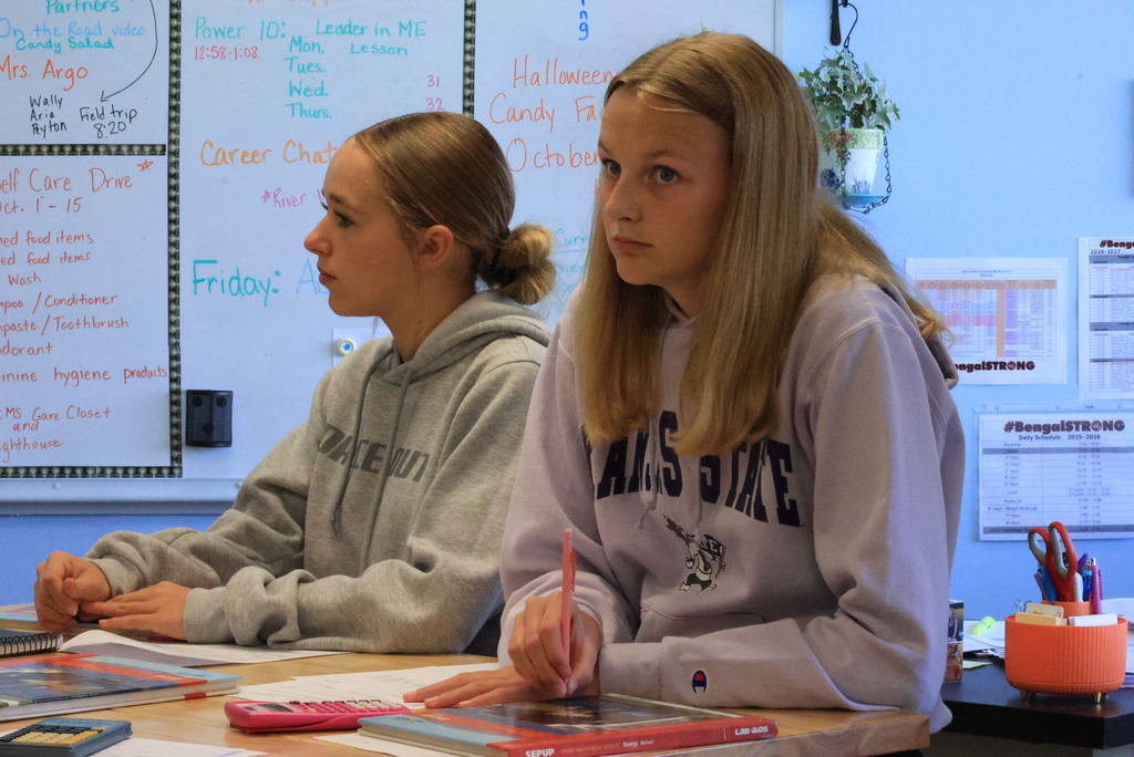 As a final project on their energy unit, Mrs. Pfizenmaier had her science students create a family energy profile. They were given a location and the costs of different options, and they had to decide which housing improvement was best. 