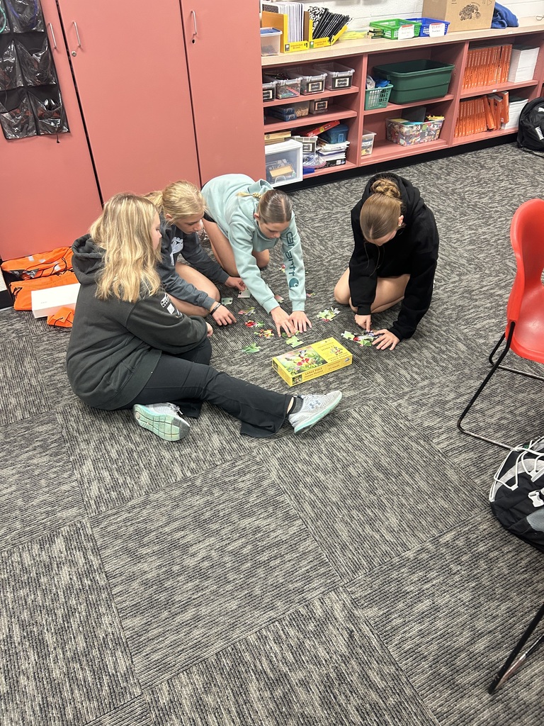 Mr. Last's PAWS classes focus on completing a puzzle while also coming up with a 3 step plan on how to complete it as quickly as possible.