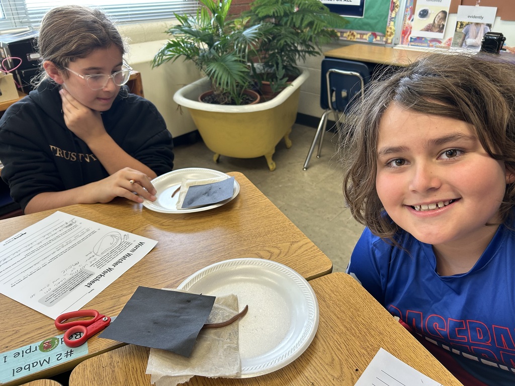 Mr. Yenni's science class studied worms with an experiment to prove whether they like wet, dark places. 