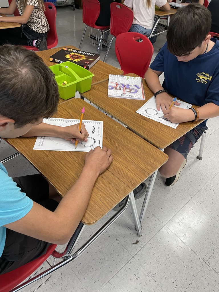 pictures of students in class