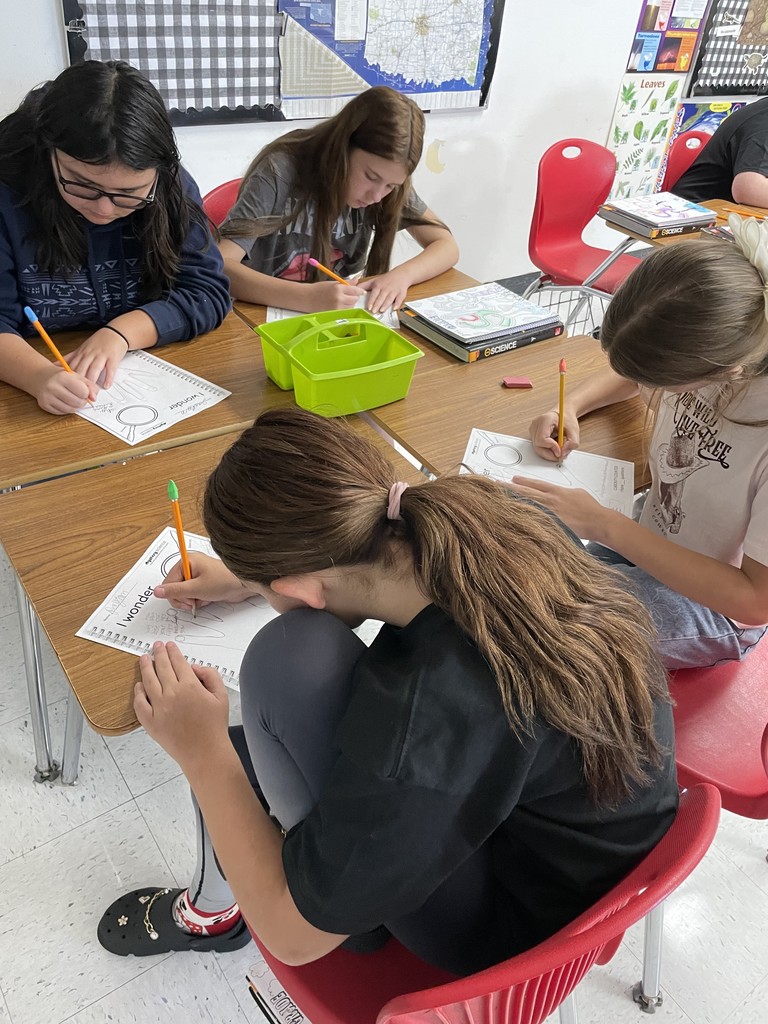 pictures of students in class