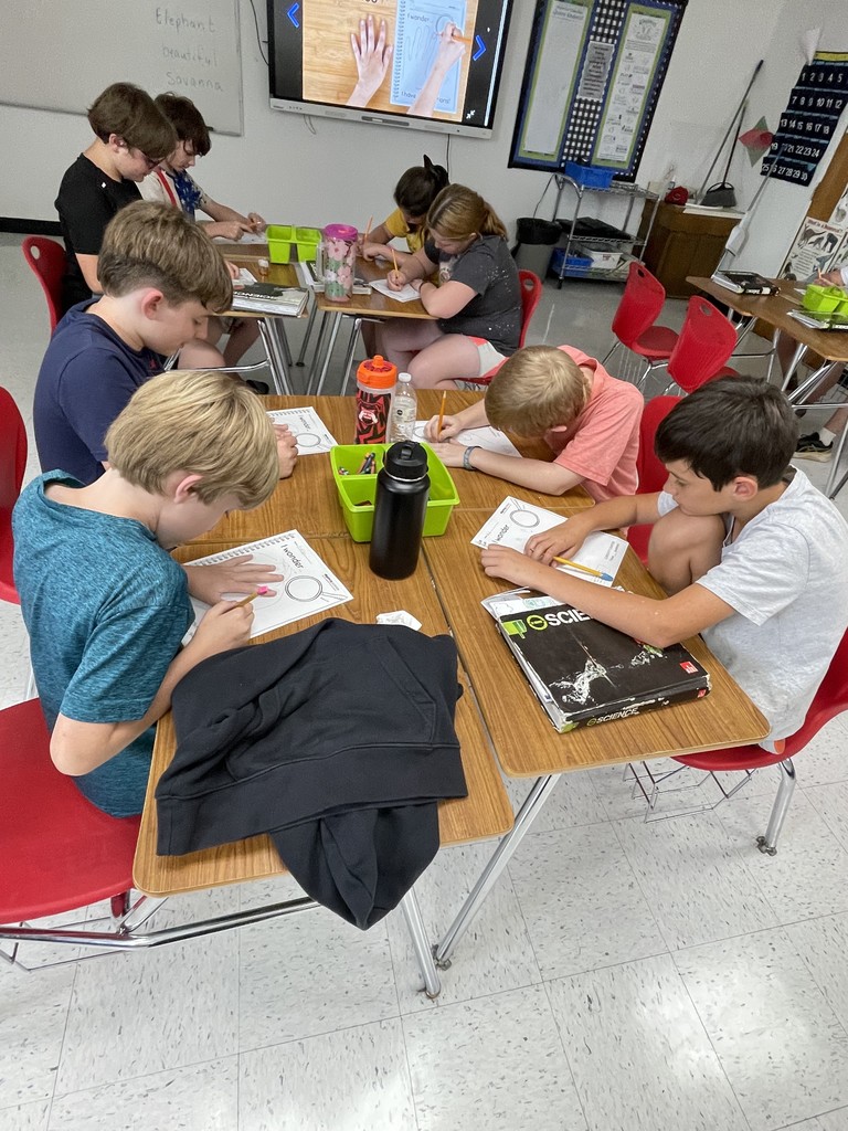 pictures of students in class