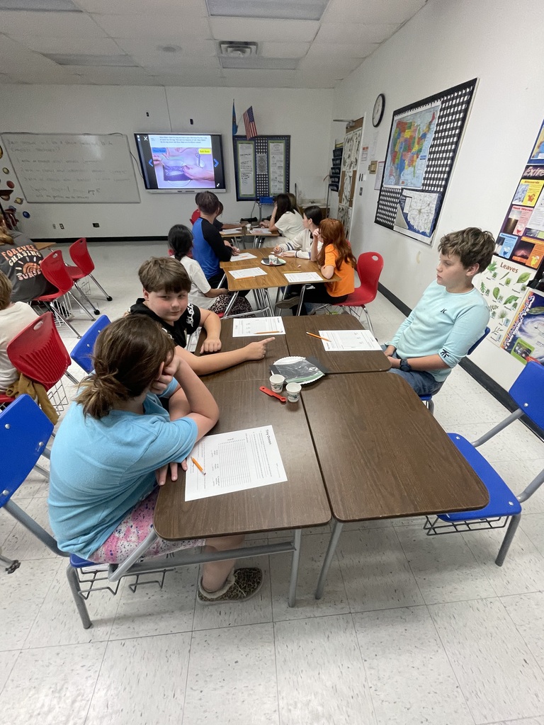 Science investigations 