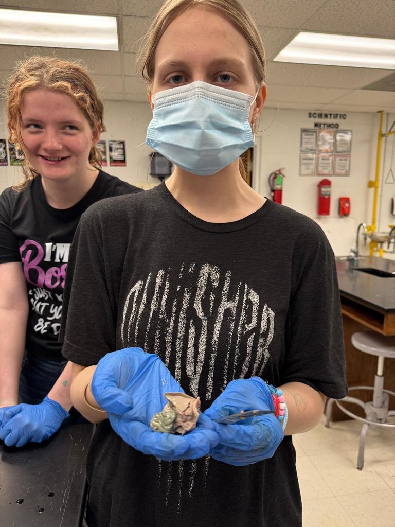 picture of students doing a dissection