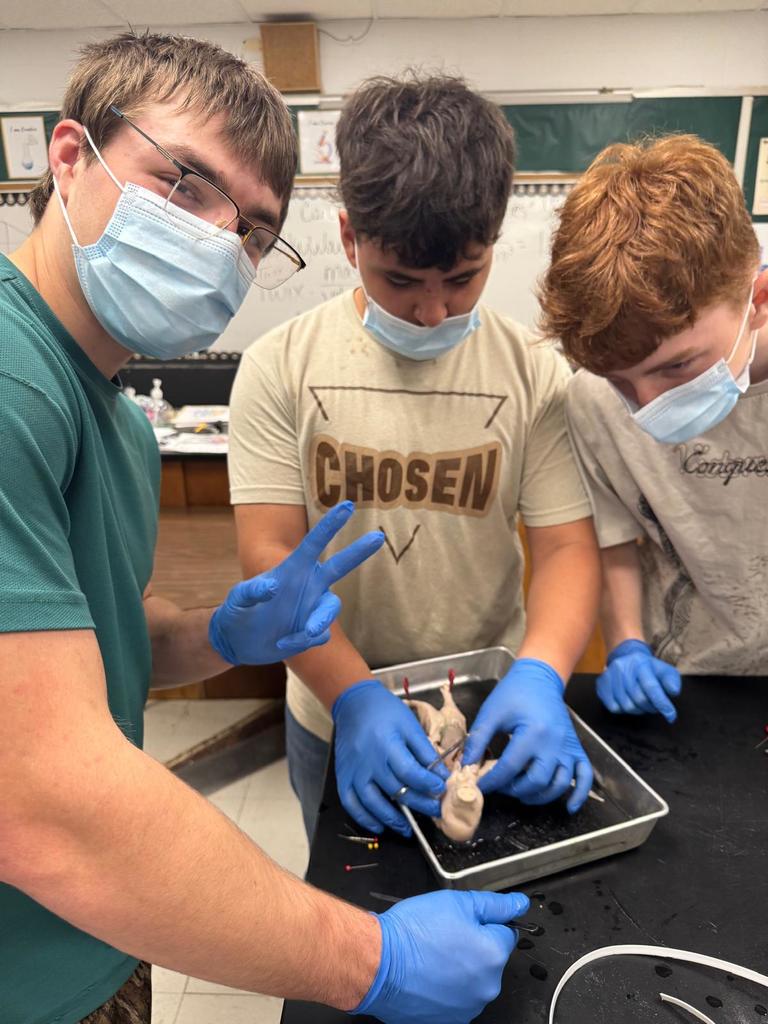 picture of students doing a dissection