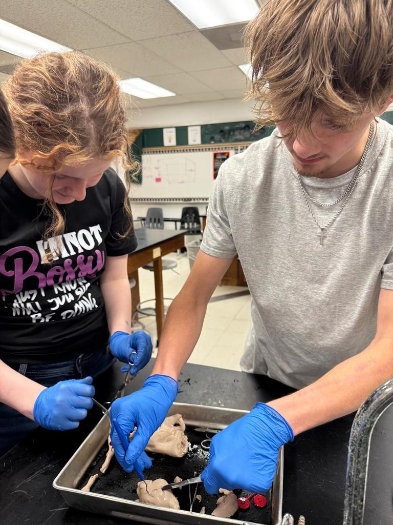 picture of students doing a dissection