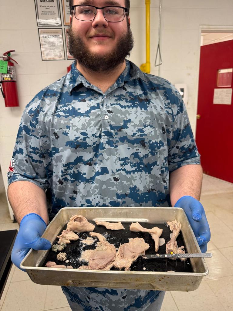 picture of students doing a dissection