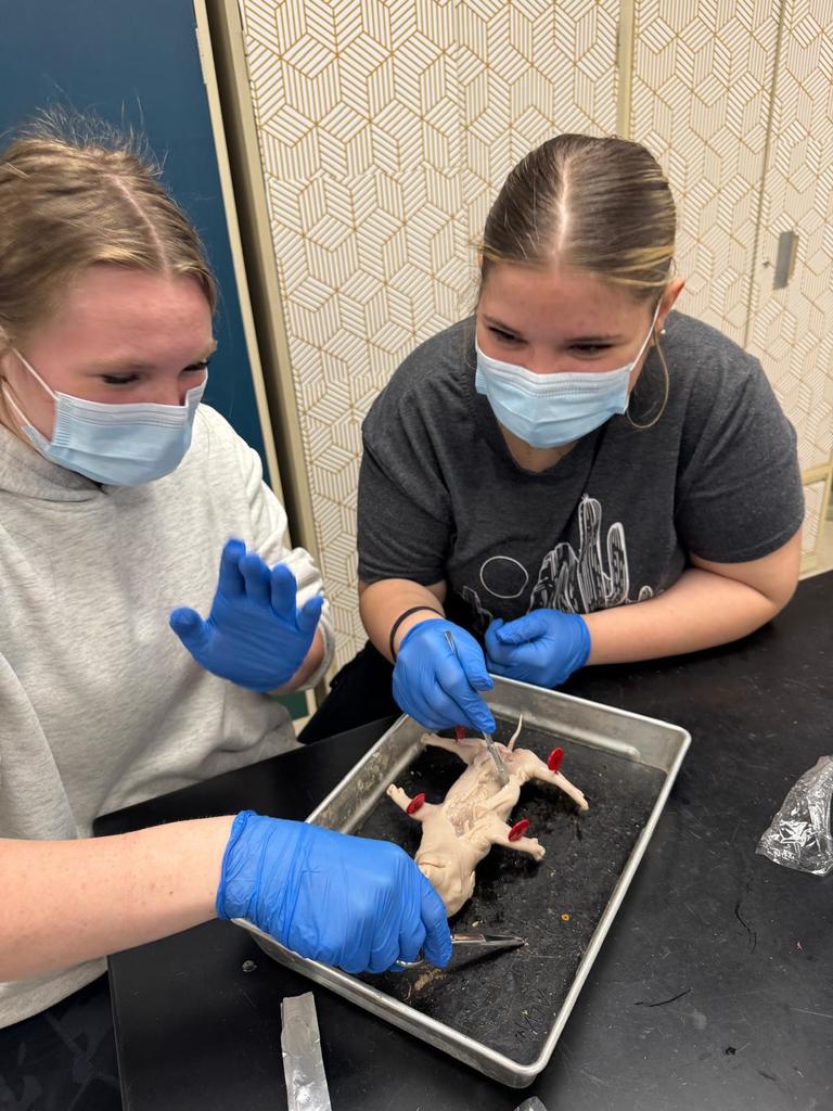 picture of students doing a dissection