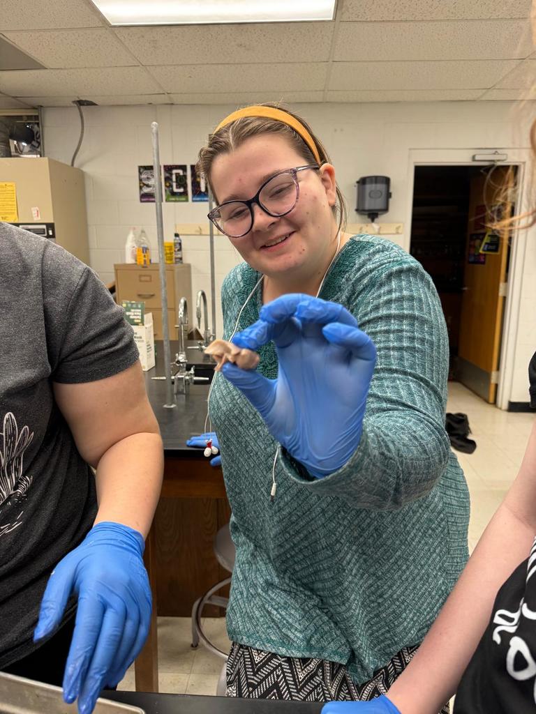 picture of students doing a dissection
