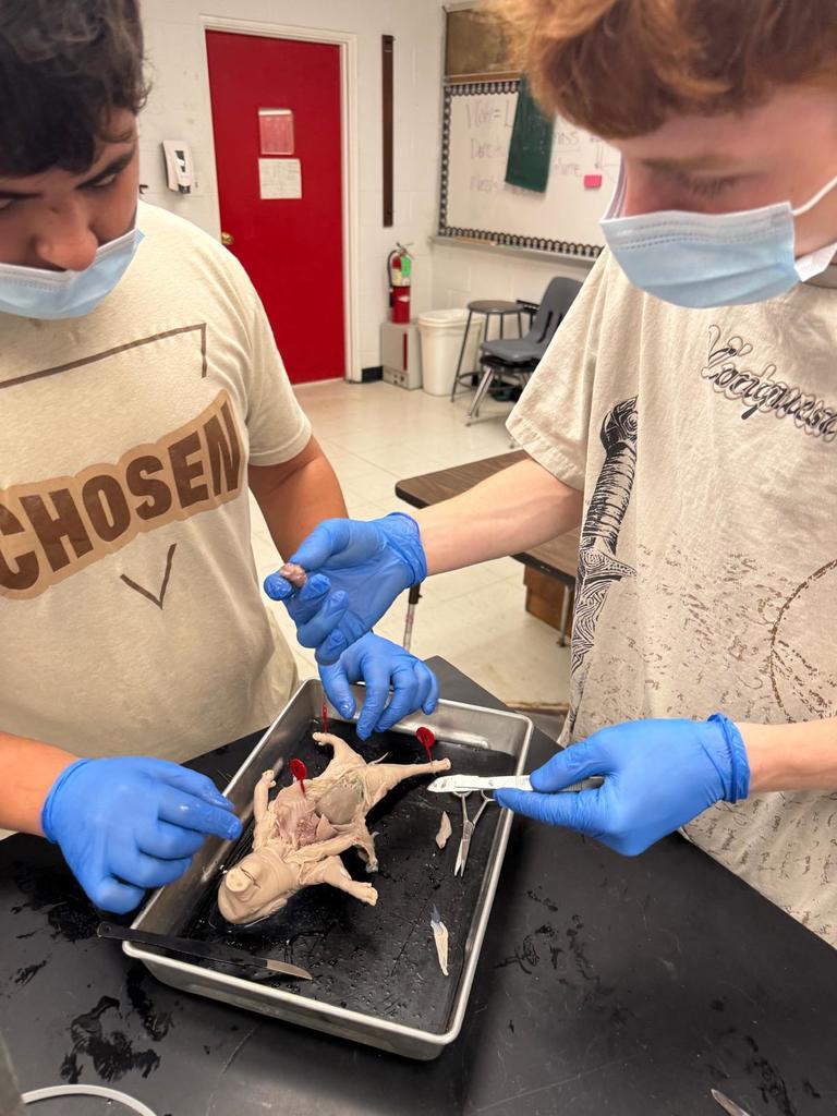 picture of students doing a dissection
