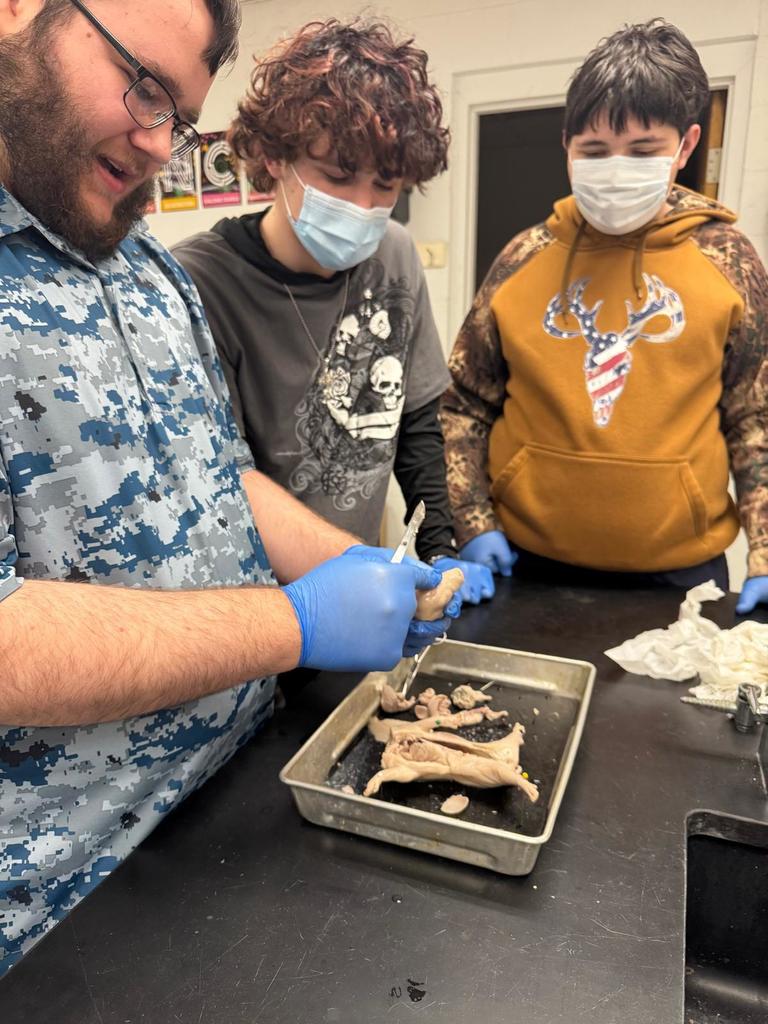 picture of students doing a dissection