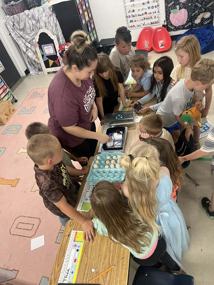 Mrs.Norris’s 1st Grade-Hatching Chickens