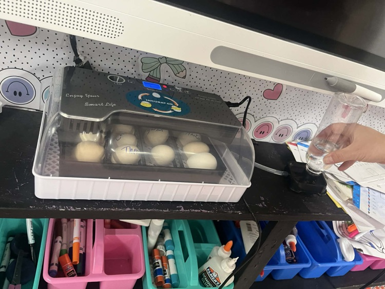 Incubator 
