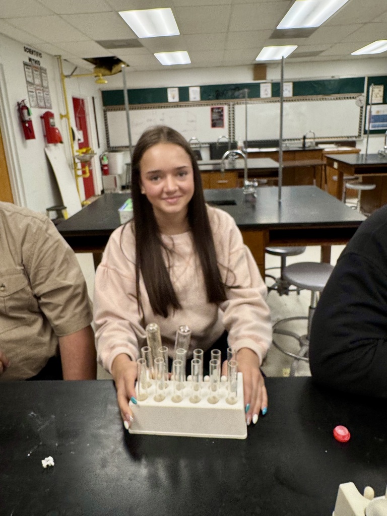 Picture of students performing a science lab