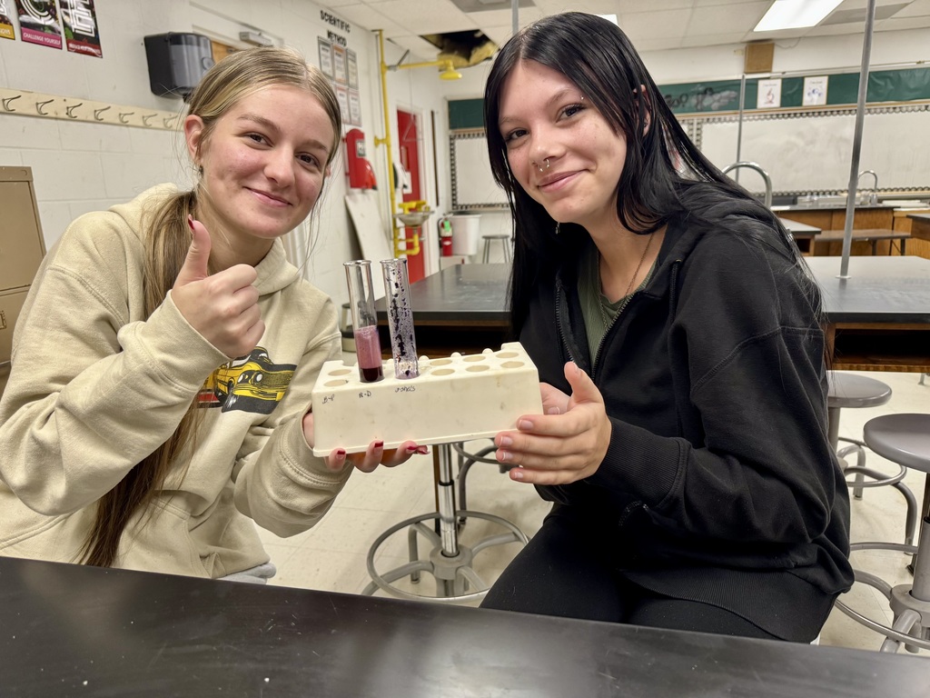 Picture of students performing a science lab