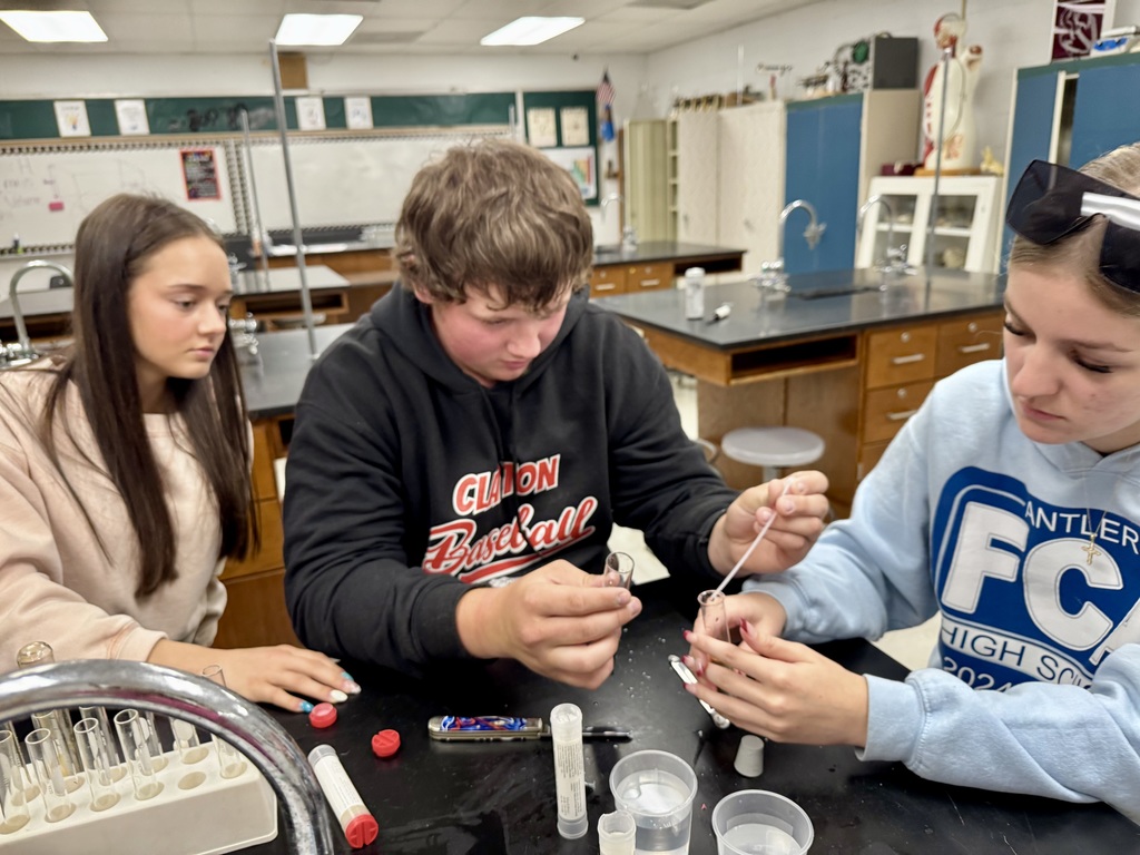 Picture of students performing a science lab