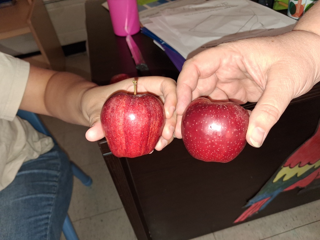 apples