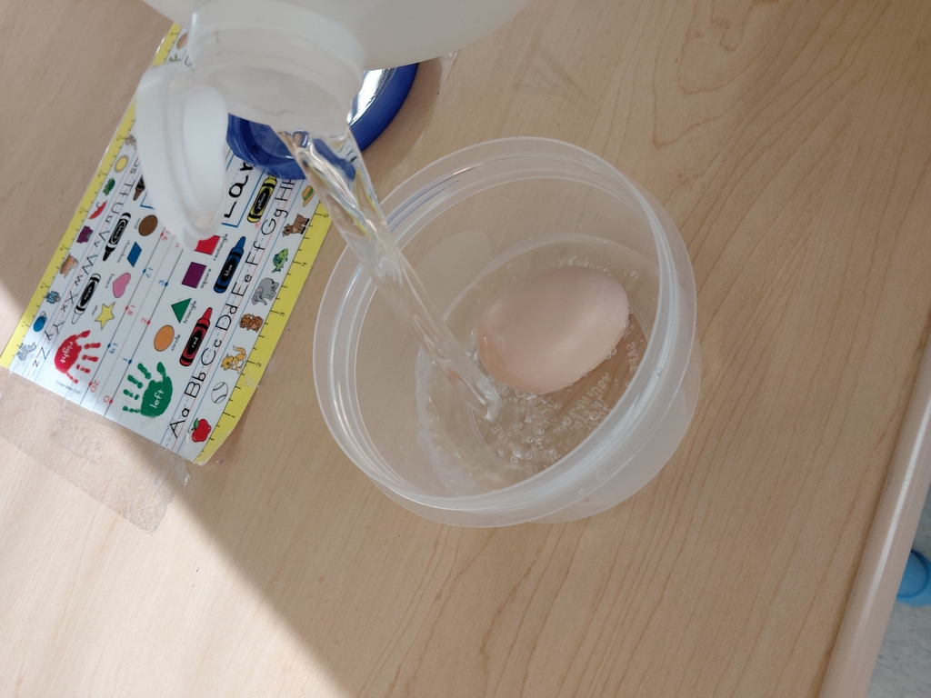 egg