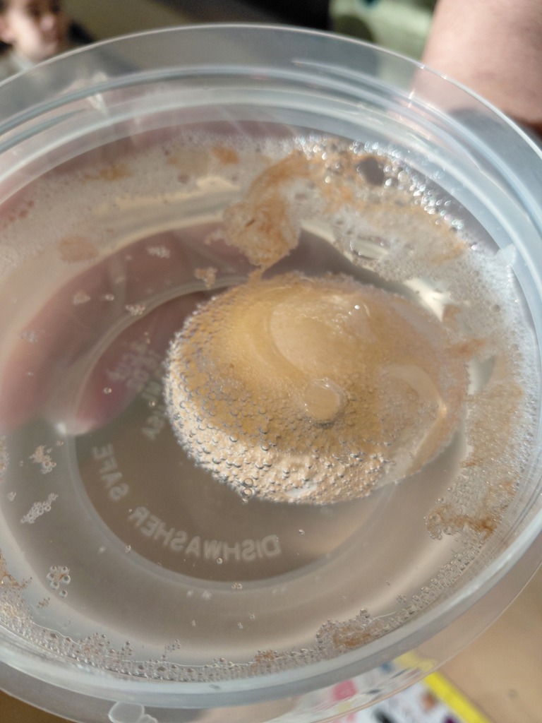 egg