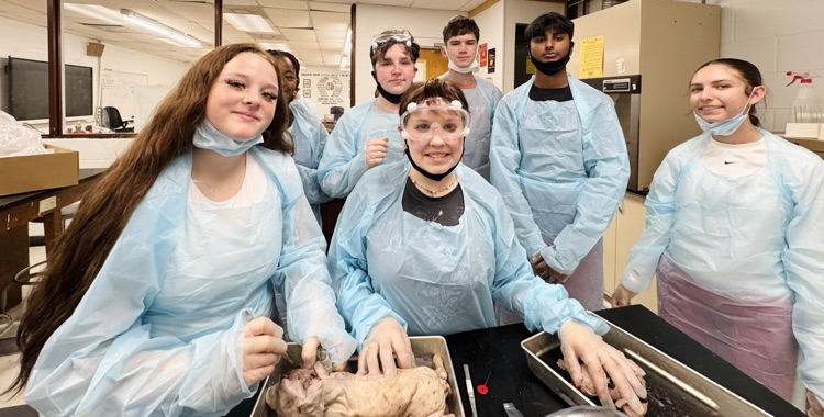 lab