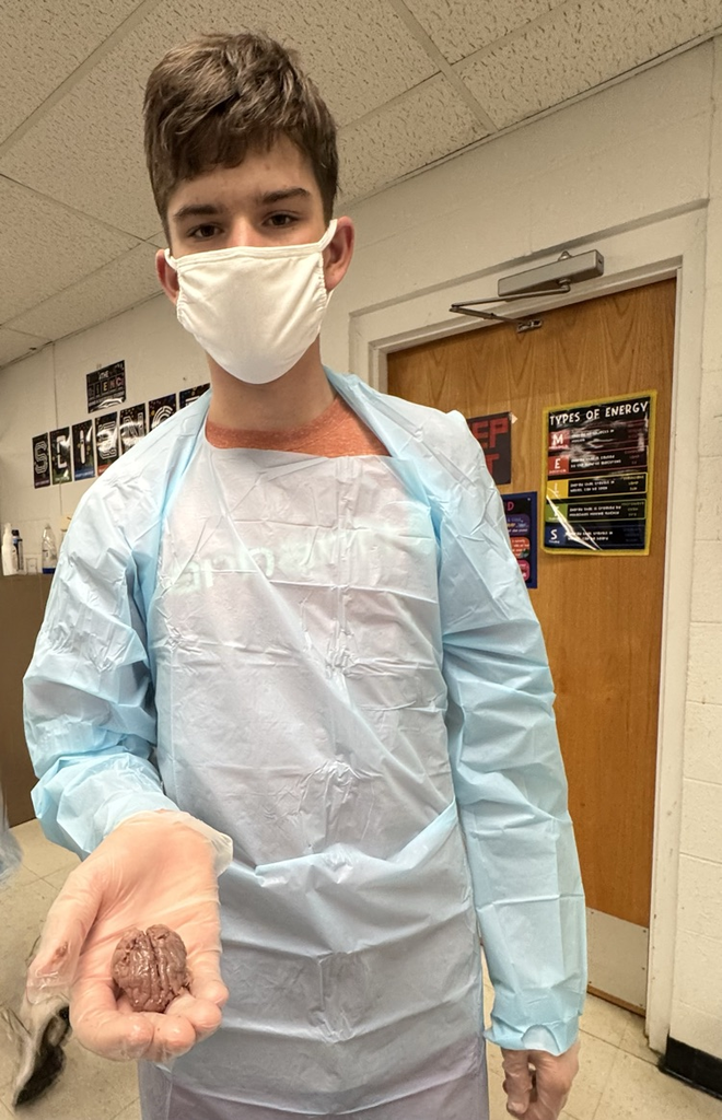 lab