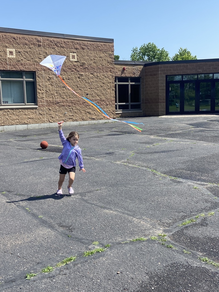 Kites6