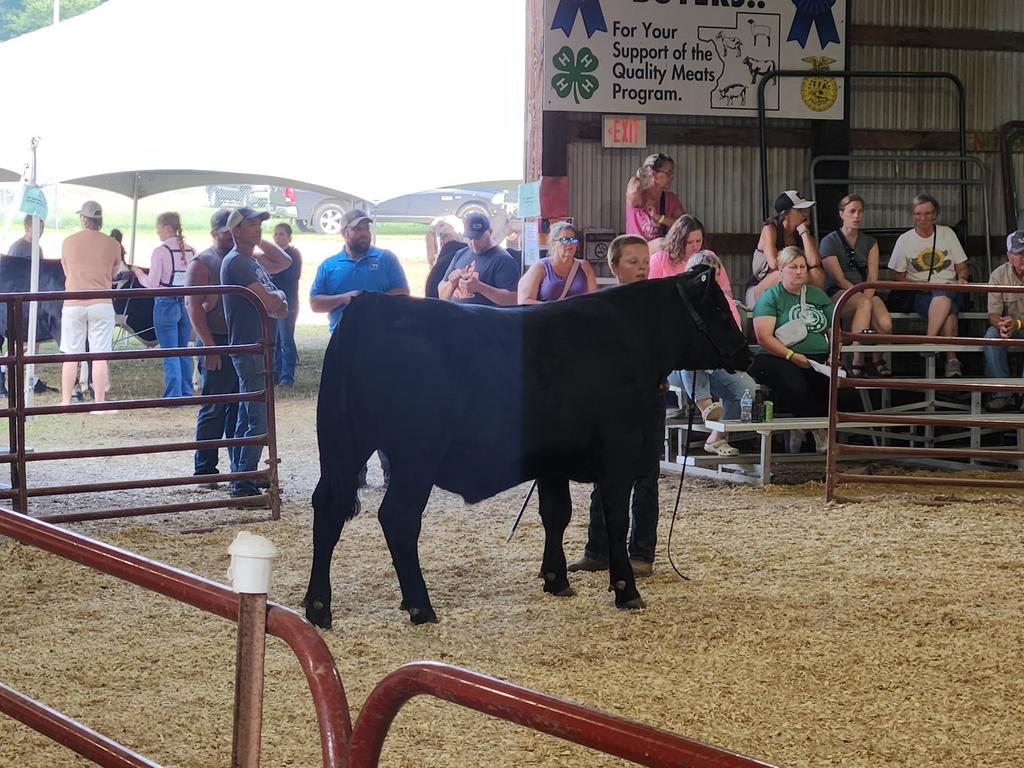 Peetz Fair