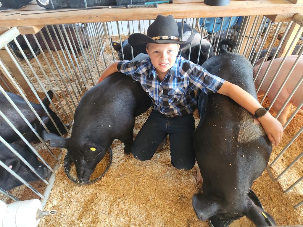 Peetz Fair