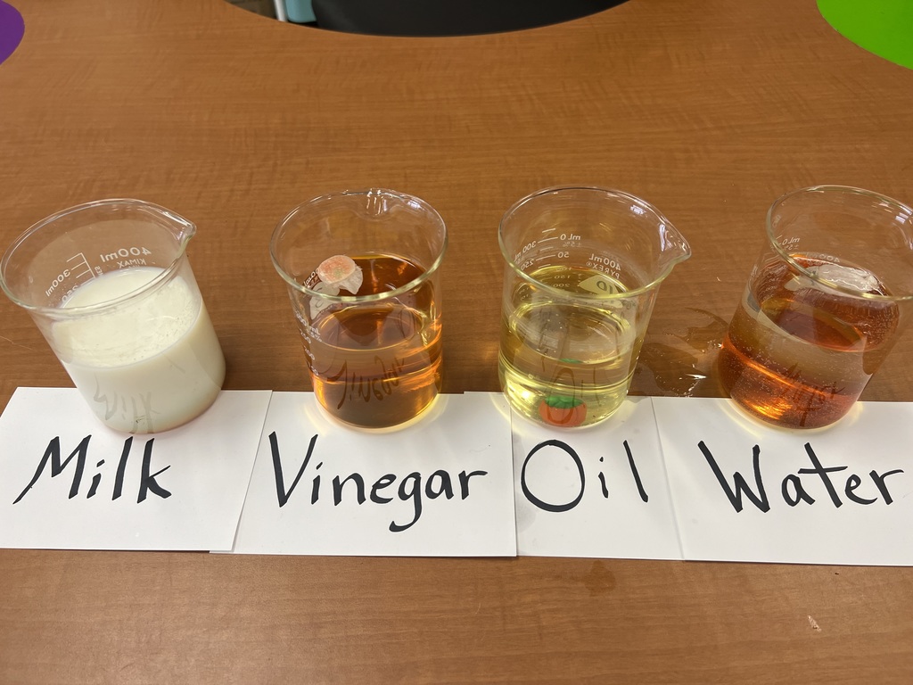 Fun Friday with Mr. Fall