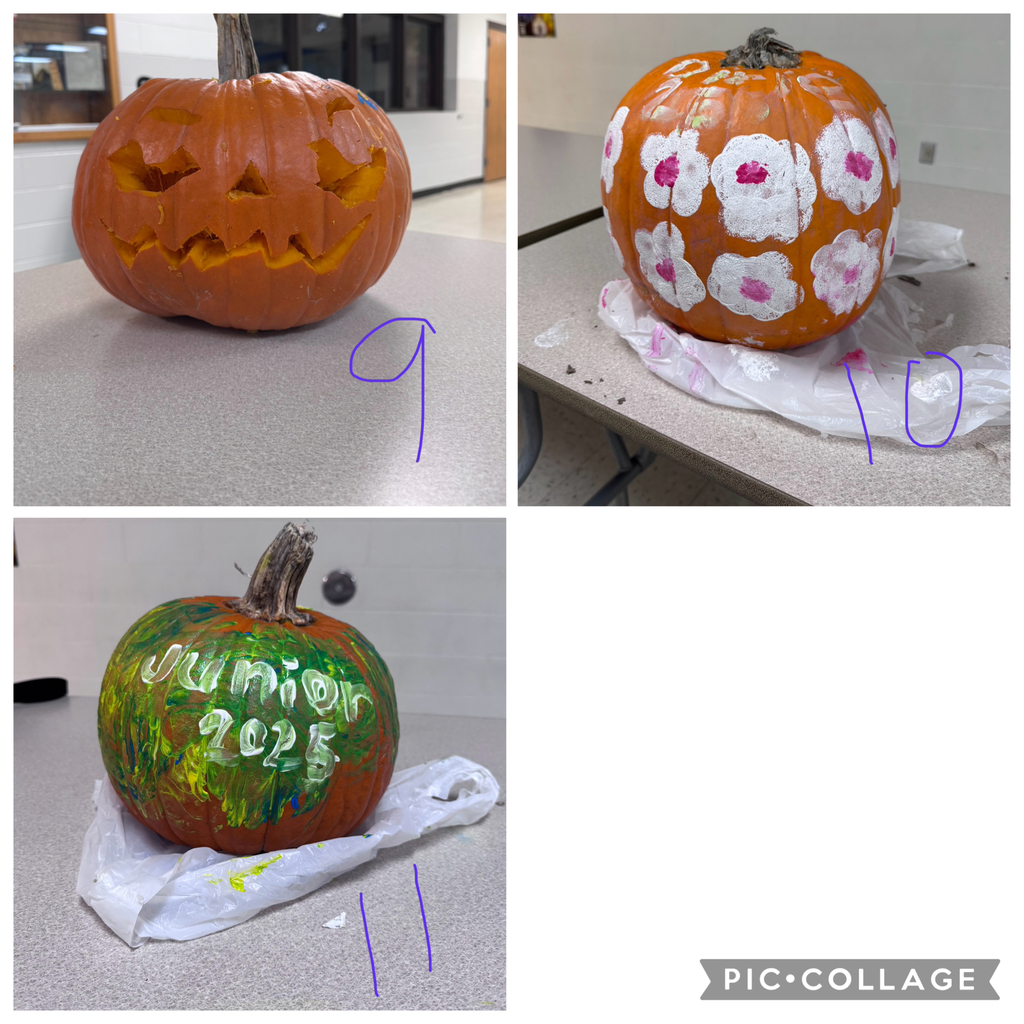 Pumpkin Contest 3