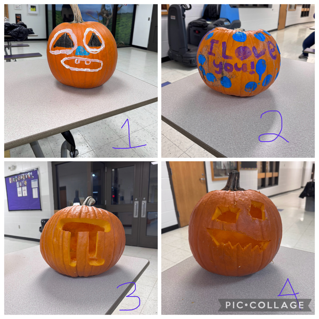 Pumpkin Contest 1