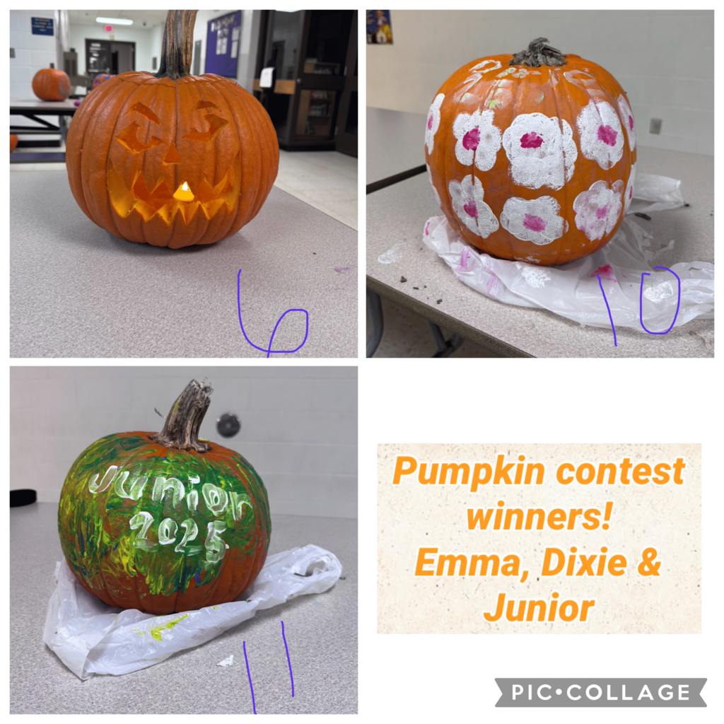Pumpkin winners