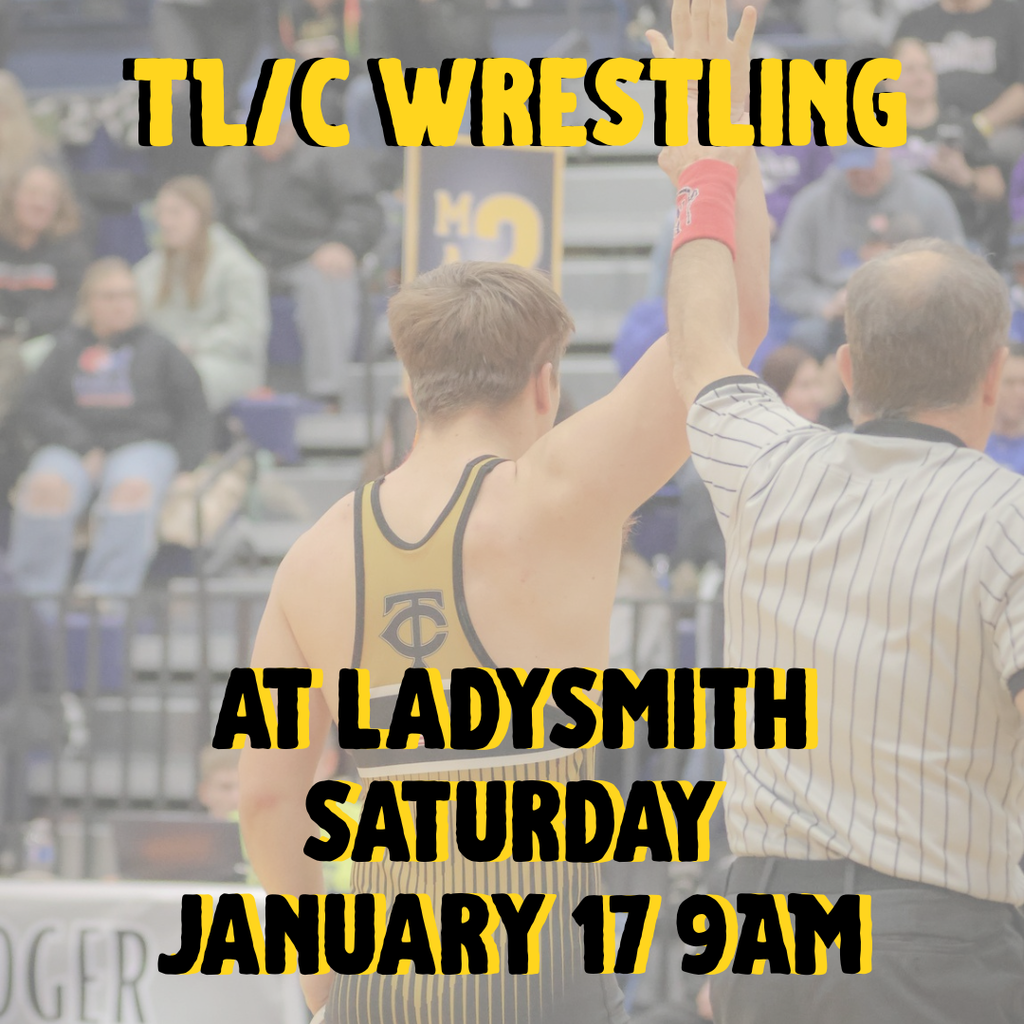 TLC wrestling 011726