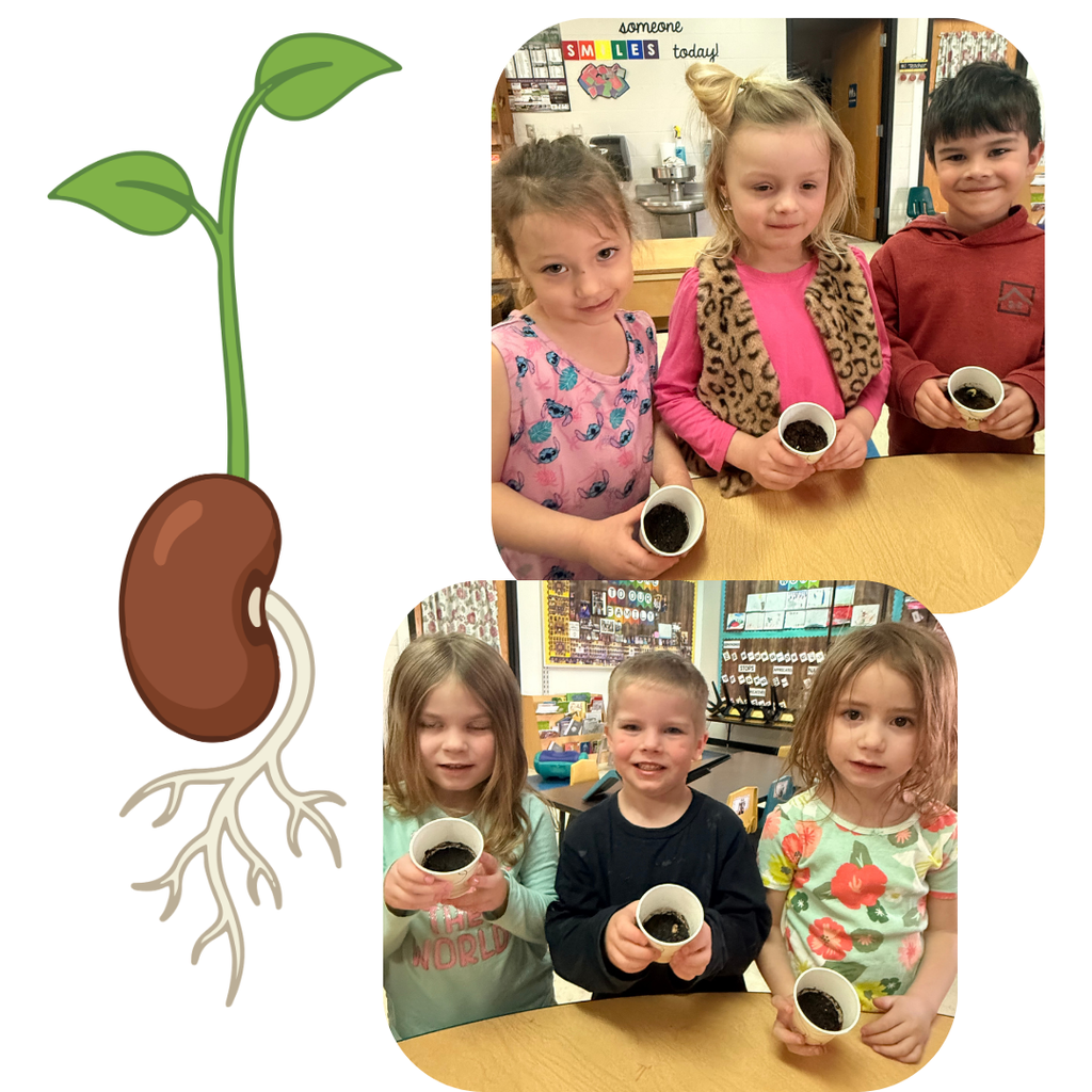 JK students with the bean seedlings