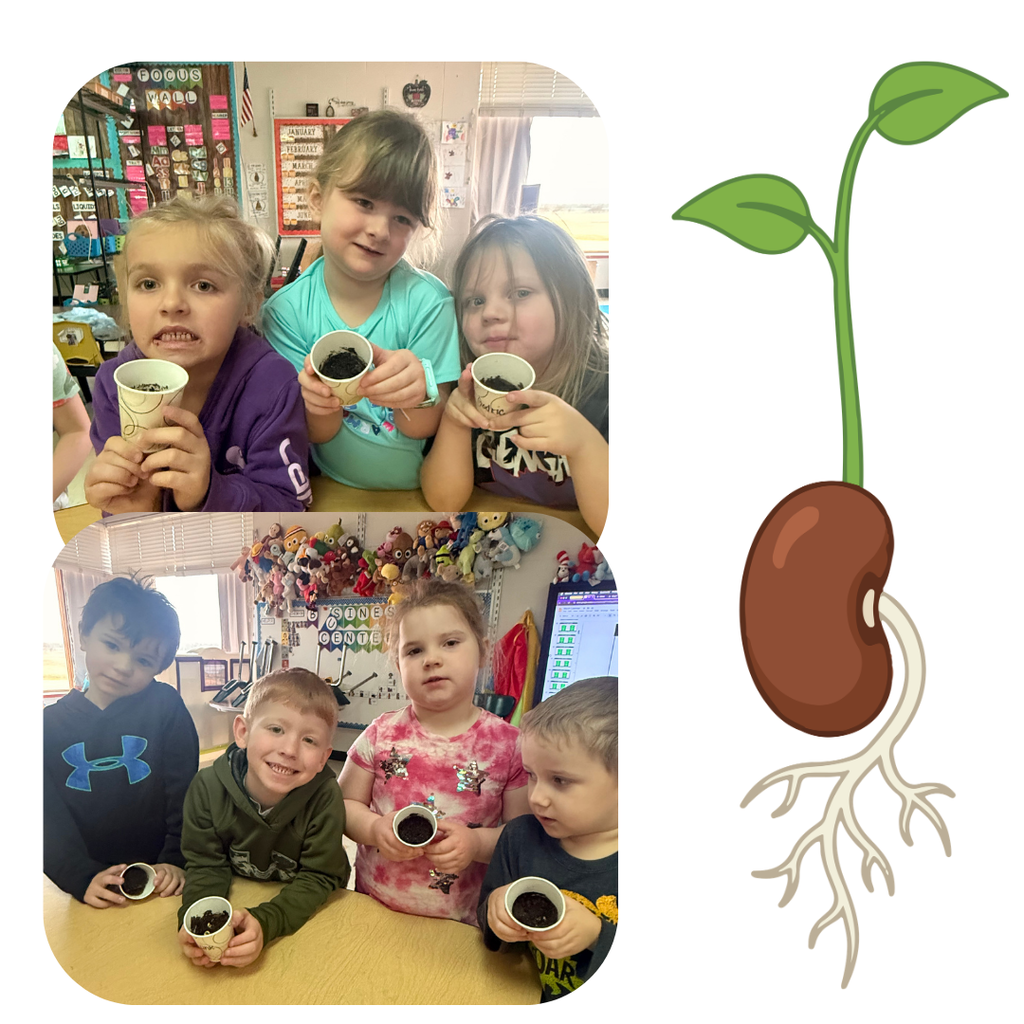 JK students with the bean seedlings